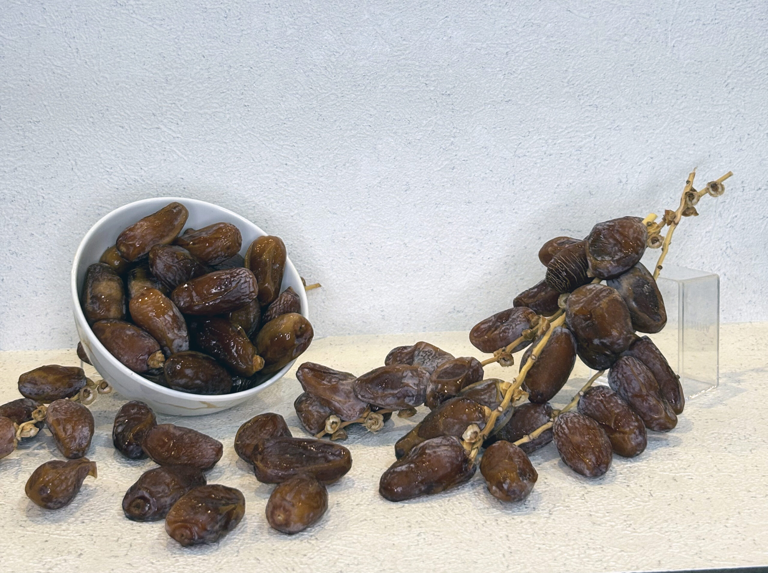 Kurma Tunis Tangkai
